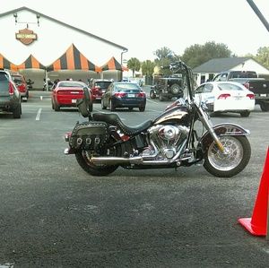 Meet your Posher, Wanda